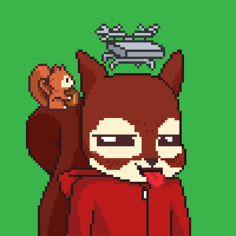 Pixel Squirrels #9263